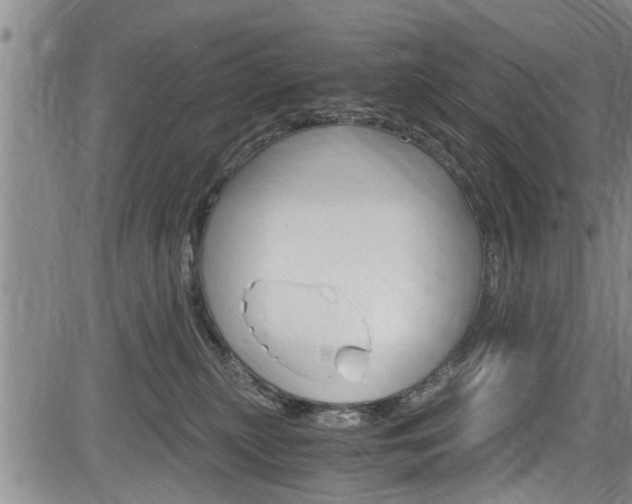 X0000084030279200702160900