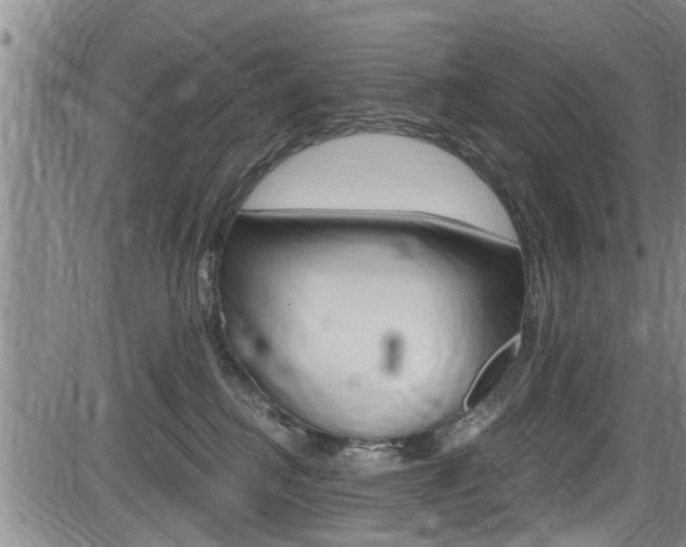 X0000084030280200702160900