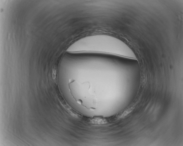 X0000084030281200702160900