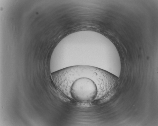 X0000084030282200702160900