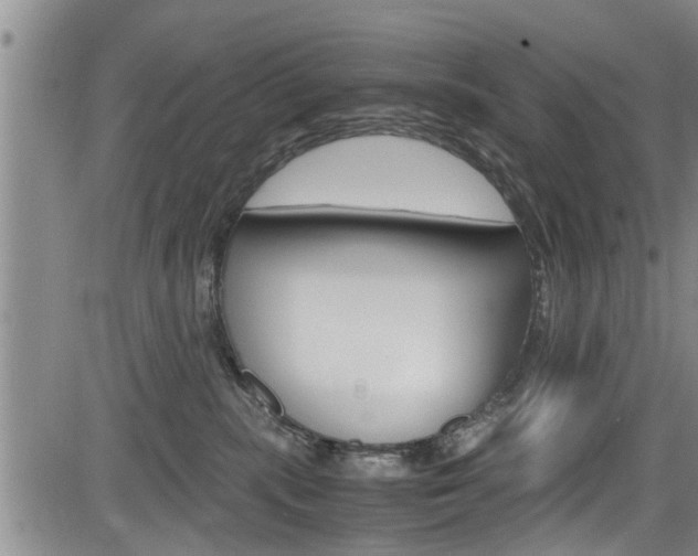 X0000084030283200702160900