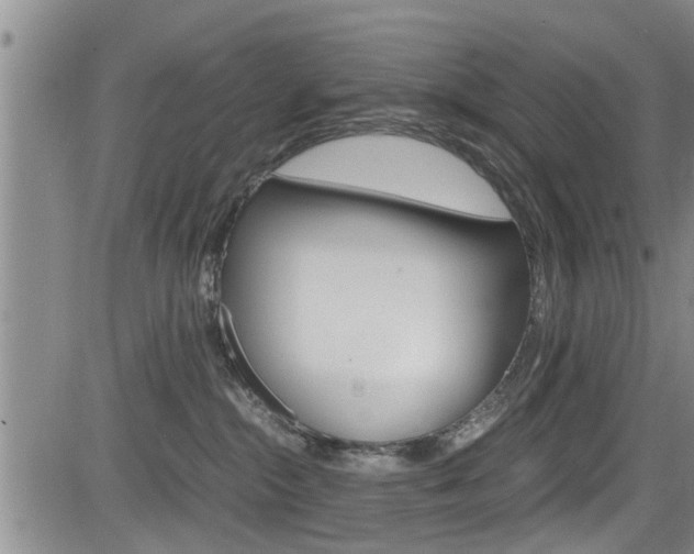 X0000084030284200702160900