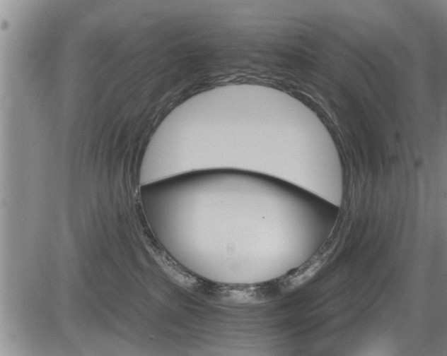 X0000084030285200702160900