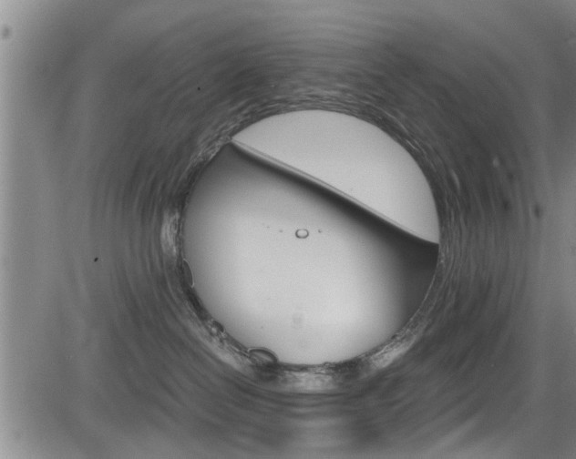 X0000084030286200702160900