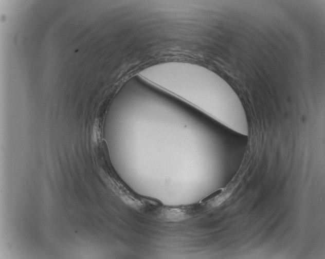 X0000084030287200702160900