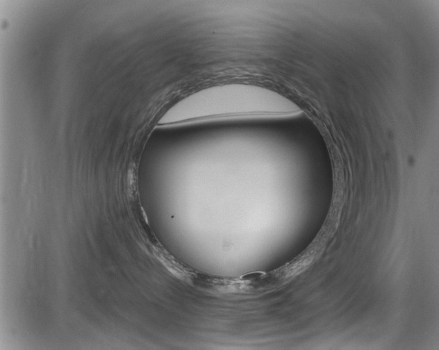 X0000084030288200702160900