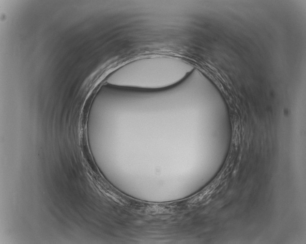 X0000084030290200702160859