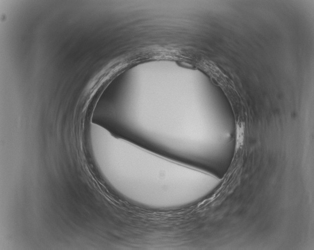 X0000084030291200702160859