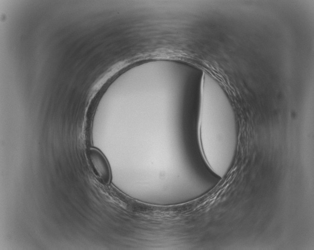 X0000084030292200702160859