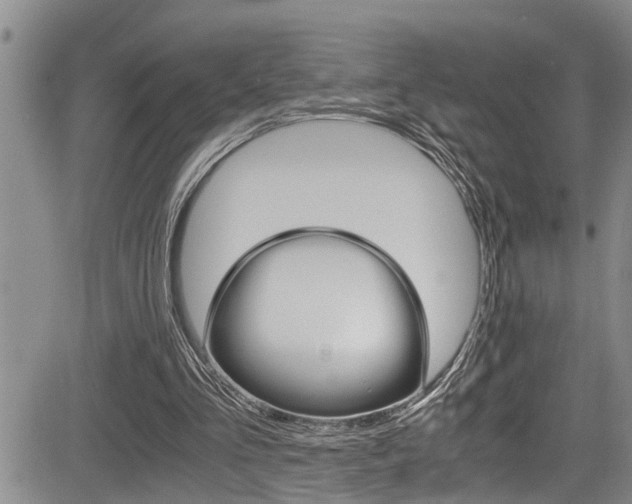 X0000084030293200702160859