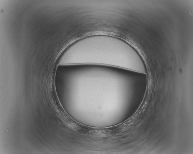 X0000084030297200702160859