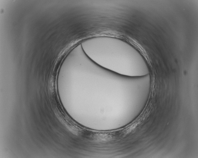 X0000084030298200702160859