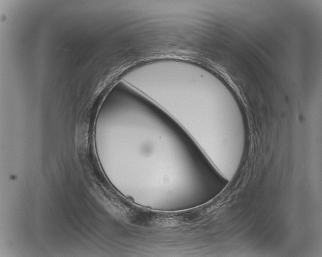 X0000084030299200702160859