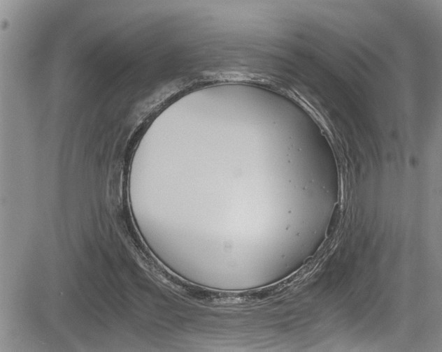 X0000084030301200702160859