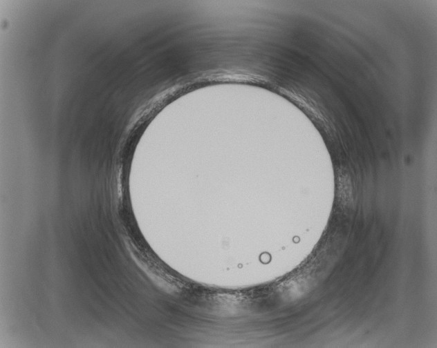 X0000084030302200702160859