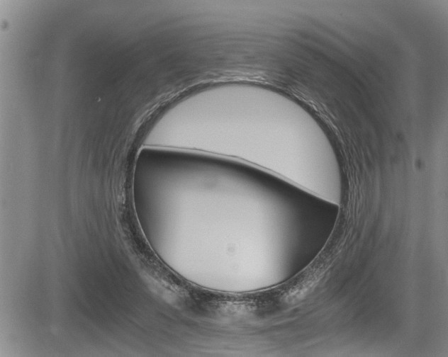 X0000084030303200702160859