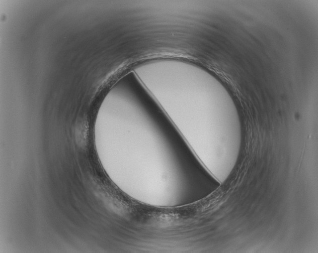 X0000084030304200702160859