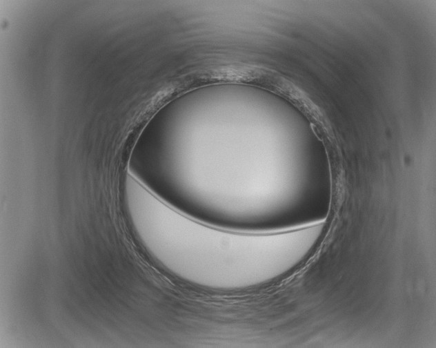 X0000084030305200702160859