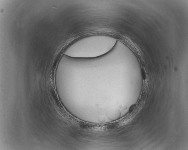 X0000084030306200702160859