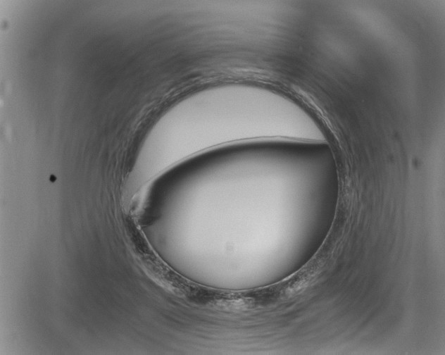 X0000084030307200702160859