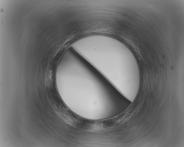 X0000084030308200702160859