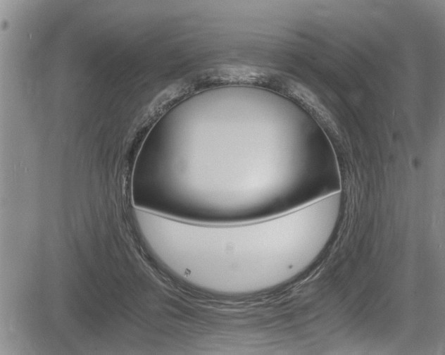 X0000084030309200702160859