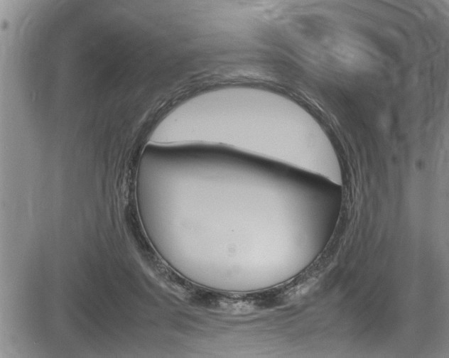 X0000084030311200702160859