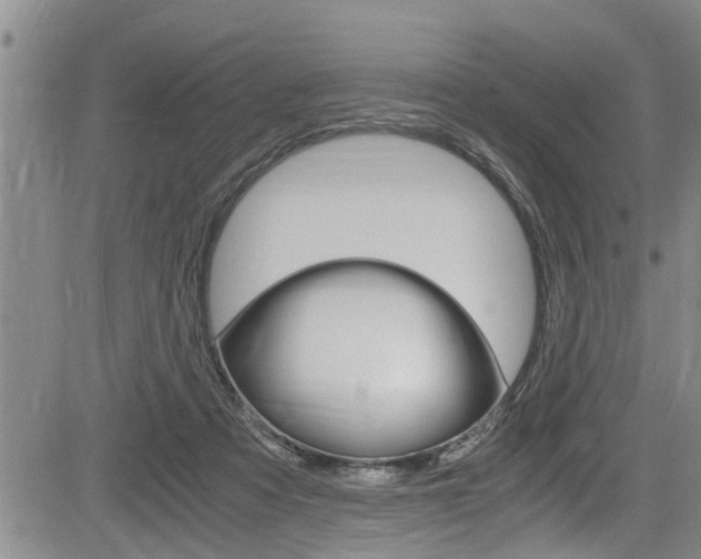 X0000084030313200702160859