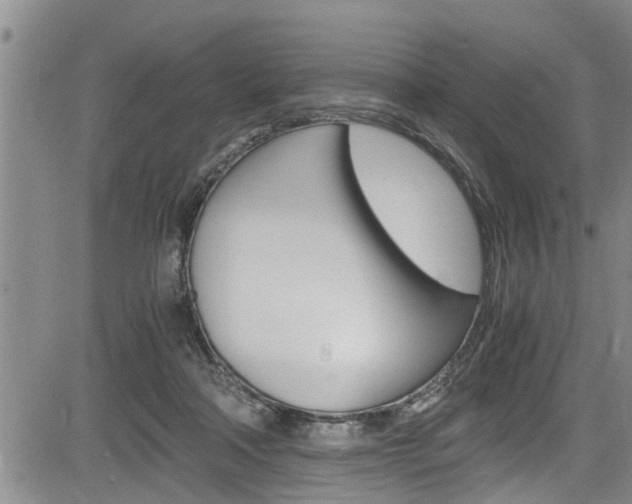 X0000084030314200702160859