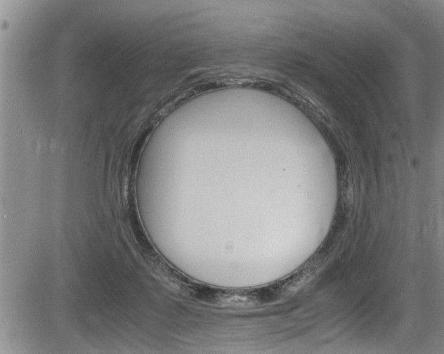 X0000084030315200702160859