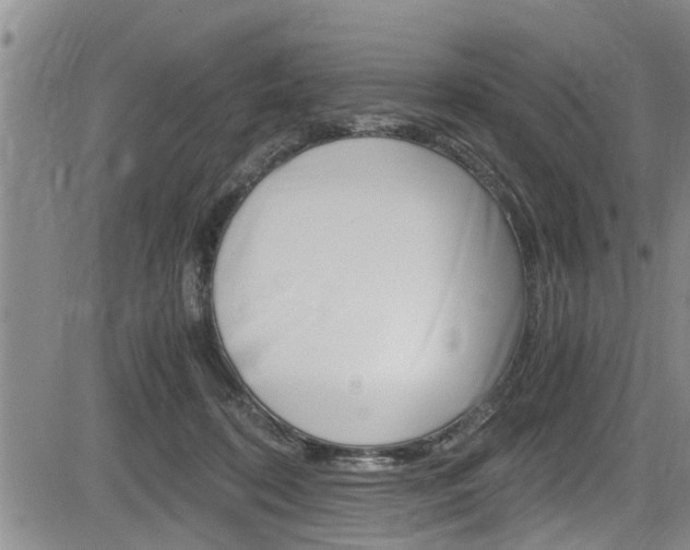 X0000084030316200702160859