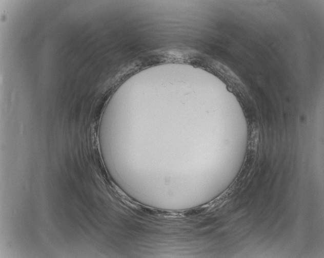 X0000084030318200702160859