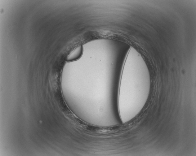 X0000084030319200702160859