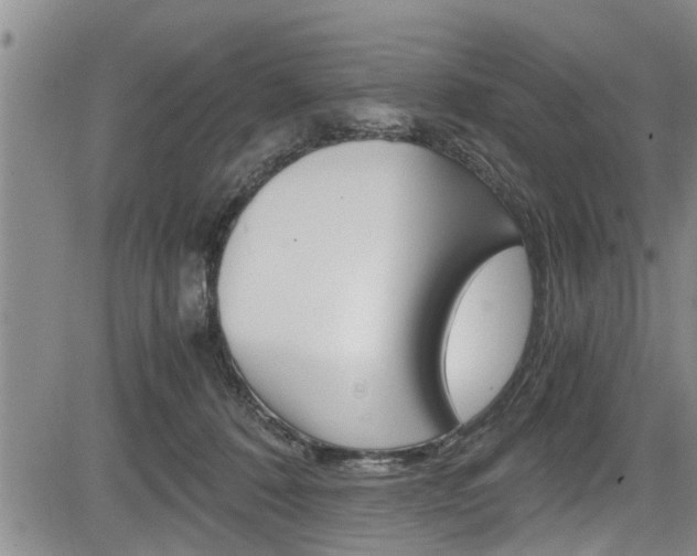 X0000084030320200702160859