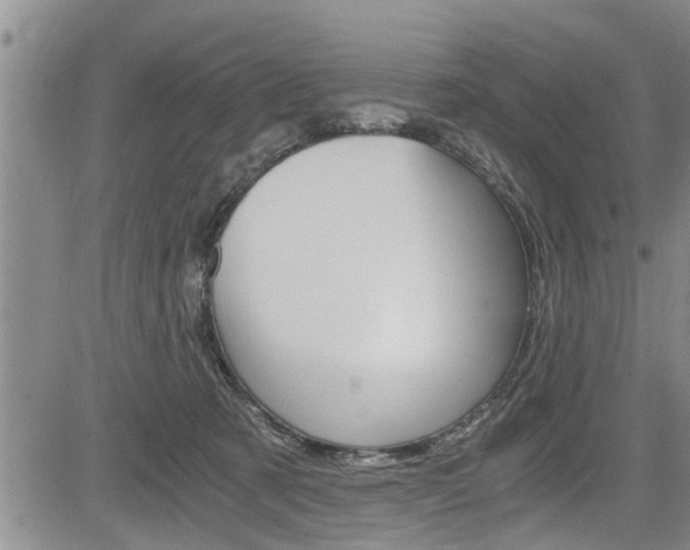 X0000084030321200702160859