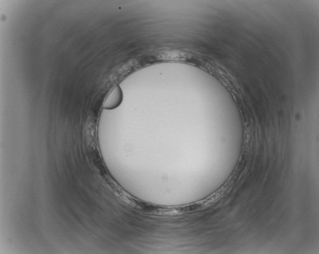 X0000084030322200702160858