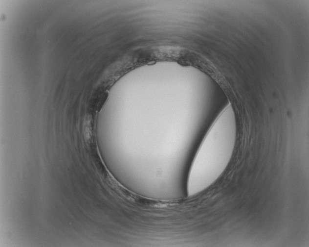 X0000084030323200702160858