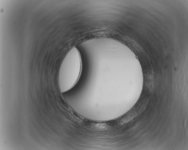 X0000084030324200702160858