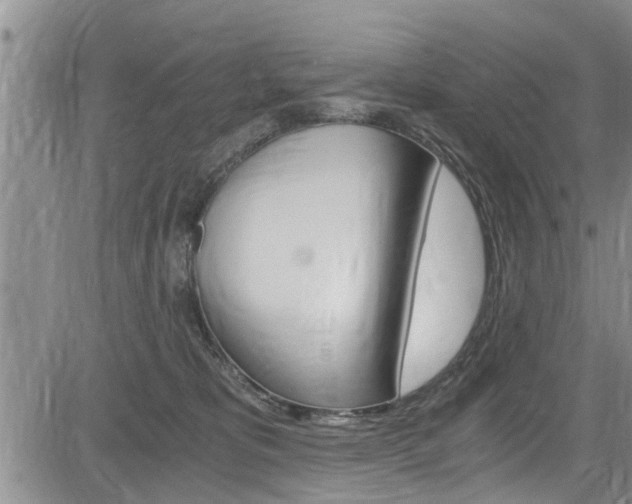 X0000084030325200702160858