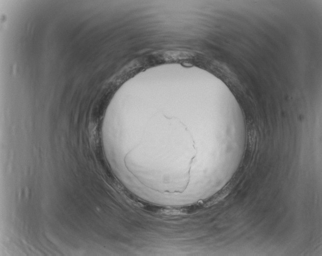 X0000084030327200702160858