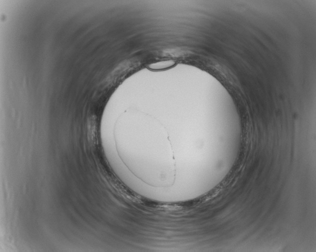 X0000084030328200702160858