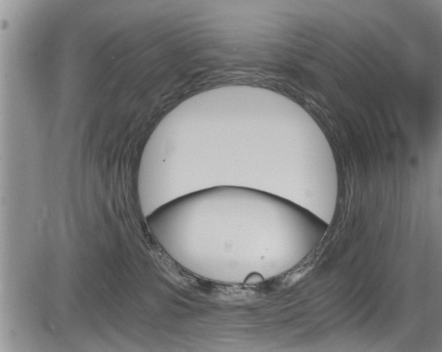 X0000084030331200702160858