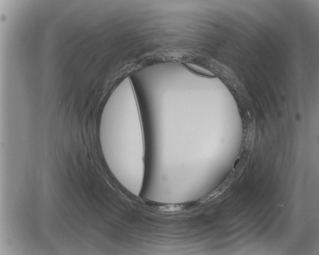 X0000084030335200702160858