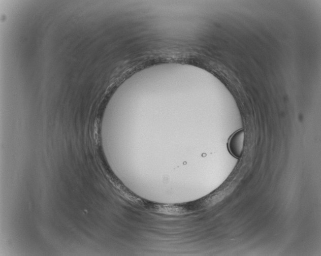 X0000084030336200702160858