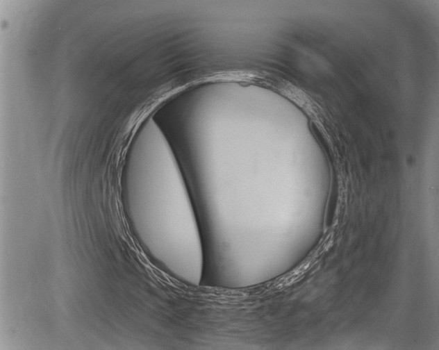 X0000084030337200702160857