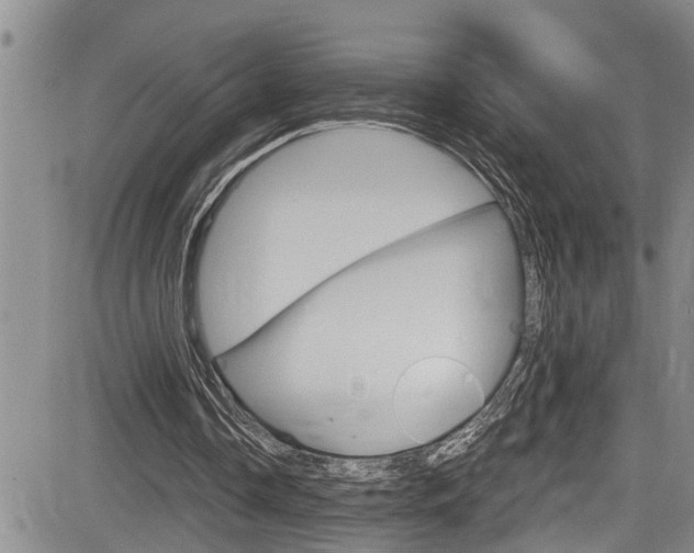 X0000084030338200702160857