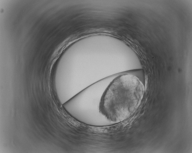 X0000084030339200702160858