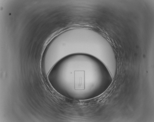 X0000084030340200702160858