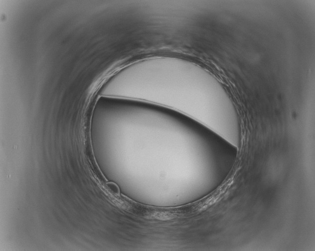 X0000084030341200702160858