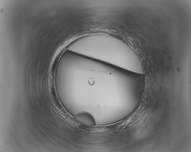 X0000084030342200702160858